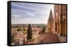 The Cathedral in Salamanca, UNESCO World Heritage Site, Castile and Leon, Spain, Europe-Julian Elliott-Framed Stretched Canvas