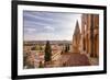 The Cathedral in Salamanca, UNESCO World Heritage Site, Castile and Leon, Spain, Europe-Julian Elliott-Framed Photographic Print