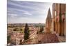 The Cathedral in Salamanca, UNESCO World Heritage Site, Castile and Leon, Spain, Europe-Julian Elliott-Mounted Photographic Print