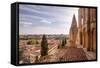 The Cathedral in Salamanca, UNESCO World Heritage Site, Castile and Leon, Spain, Europe-Julian Elliott-Framed Stretched Canvas