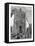 The Cathedral, Mexico City, Mexico, 19th Century-null-Framed Stretched Canvas