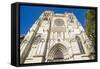 The Cathedral of Bordeaux, Aquitaine, France, Europe-Michael Runkel-Framed Stretched Canvas