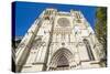 The Cathedral of Bordeaux, Aquitaine, France, Europe-Michael Runkel-Stretched Canvas