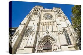 The Cathedral of Bordeaux, Aquitaine, France, Europe-Michael Runkel-Stretched Canvas