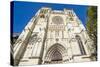 The Cathedral of Bordeaux, Aquitaine, France, Europe-Michael Runkel-Stretched Canvas