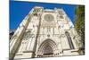 The Cathedral of Bordeaux, Aquitaine, France, Europe-Michael Runkel-Mounted Photographic Print