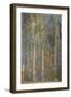 The Cathedral of Rouen, at Noon, 1894-Claude Monet-Framed Giclee Print