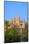 The Cathedral of Santa Maria of Palma, Palma, Mallorca, Spain, Europe-Neil Farrin-Mounted Photographic Print