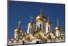 The Cathedral of the Annunciation in the Moscow Kremlin, Moscow, Russia-null-Mounted Art Print