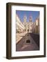 The Cathedrale Sainte Croix D'Orleans (Cathedral of Orleans), Orleans, Loiret, France, Europe-Julian Elliott-Framed Photographic Print