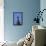 The Cats House, Riga, Latvia, Europe-Doug Pearson-Framed Stretched Canvas displayed on a wall