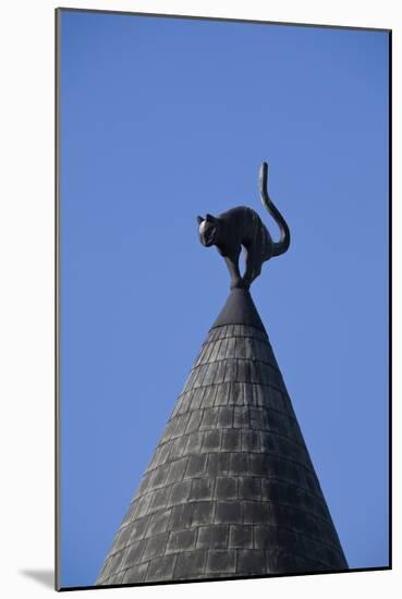 The Cats House, Riga, Latvia, Europe-Doug Pearson-Mounted Photographic Print