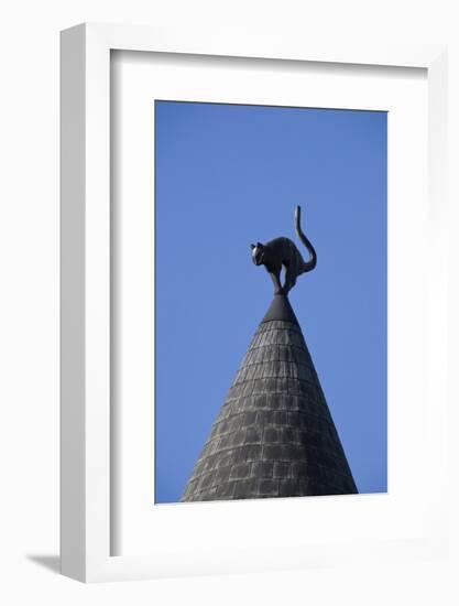 The Cats House, Riga, Latvia, Europe-Doug Pearson-Framed Photographic Print