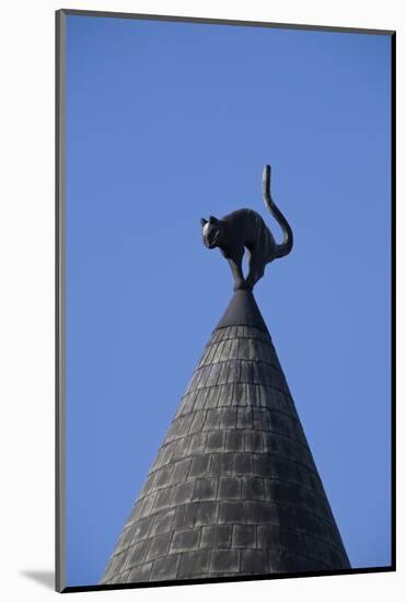 The Cats House, Riga, Latvia, Europe-Doug Pearson-Mounted Photographic Print