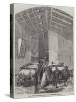 The Cattle Department at the Italian Exposition, Florence-null-Stretched Canvas