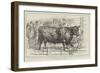 The Cattle-Show at Birmingham-null-Framed Giclee Print