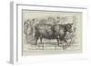 The Cattle-Show at Birmingham-null-Framed Giclee Print