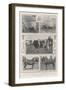 The Cattle Show at Cardiff, the Royal Prize Winner and Others-null-Framed Giclee Print