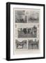 The Cattle Show at Cardiff, the Royal Prize Winner and Others-null-Framed Giclee Print
