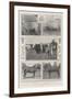 The Cattle Show at Cardiff, the Royal Prize Winner and Others-null-Framed Giclee Print