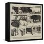 The Cattle Show, Leaves from Our Artist's Sketch-Book-Alfred Chantrey Corbould-Framed Stretched Canvas