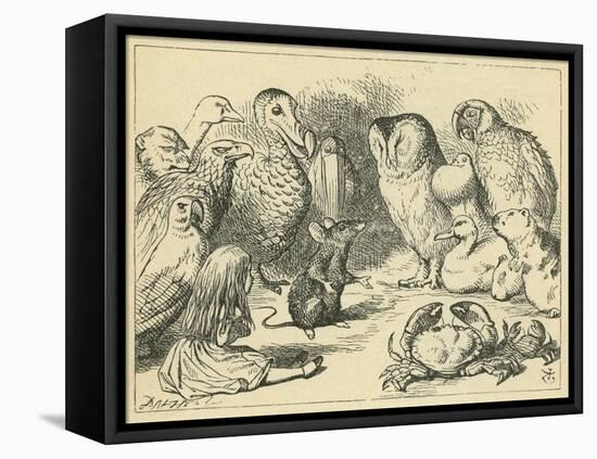 The Caucus Race and a Long Tale, Lewis Carroll-John Tenniel-Framed Stretched Canvas