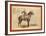 The Cavalier. the Young Soldier and His Horse on Duty [A]T Camp Cheyenne-John C. H. Grabill-Framed Giclee Print