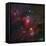 The Cave Nebula-Stocktrek Images-Framed Stretched Canvas