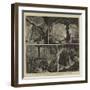 The Cave of Adelsberg, Austria-Joseph Nash-Framed Giclee Print