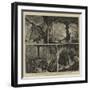 The Cave of Adelsberg, Austria-Joseph Nash-Framed Giclee Print