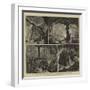 The Cave of Adelsberg, Austria-Joseph Nash-Framed Giclee Print