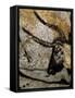 The Cave of Lascaux-null-Framed Stretched Canvas