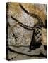 The Cave of Lascaux-null-Stretched Canvas