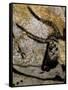 The Cave of Lascaux-null-Framed Stretched Canvas