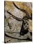 The Cave of Lascaux-null-Stretched Canvas