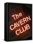 The Cavern Club at 10 Mathew Street, Liverpool; England, Uk-Carlos Sanchez Pereyra-Framed Stretched Canvas