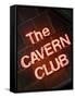 The Cavern Club at 10 Mathew Street, Liverpool; England, Uk-Carlos Sanchez Pereyra-Framed Stretched Canvas
