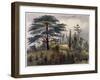 The Cedar of Lebanon and the Labyrinth at the Jardin des Plantes, Paris-Philippe Benoist-Framed Giclee Print