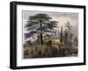 The Cedar of Lebanon and the Labyrinth at the Jardin des Plantes, Paris-Philippe Benoist-Framed Giclee Print