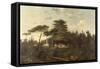 The Cedar of Lebanon in the Jardin des Plantes-Jean Pierre Louis L.. Houel-Framed Stretched Canvas