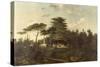 The Cedar of Lebanon in the Jardin des Plantes-Jean Pierre Louis L.. Houel-Stretched Canvas