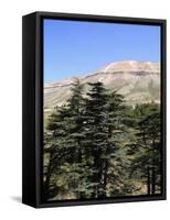 The Cedar Trees of Bcharre, Qadisha Valley, Lebanon-Wendy Connett-Framed Stretched Canvas