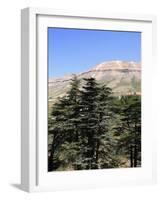 The Cedar Trees of Bcharre, Qadisha Valley, Lebanon-Wendy Connett-Framed Photographic Print