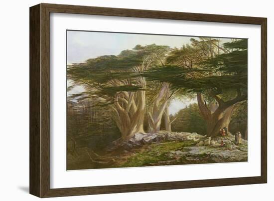 The Cedars of Lebanon, 1861-Edward Lear-Framed Giclee Print