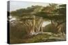 The Cedars of Lebanon, 1861-Edward Lear-Stretched Canvas