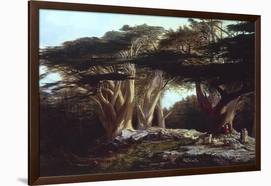 The Cedars of Lebanon-Edward Lear-Framed Premium Photographic Print