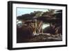 The Cedars of Lebanon-Edward Lear-Framed Photographic Print