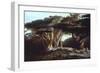 The Cedars of Lebanon-Edward Lear-Framed Photographic Print