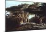 The Cedars of Lebanon-Edward Lear-Mounted Photographic Print