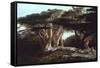 The Cedars of Lebanon-Edward Lear-Framed Stretched Canvas